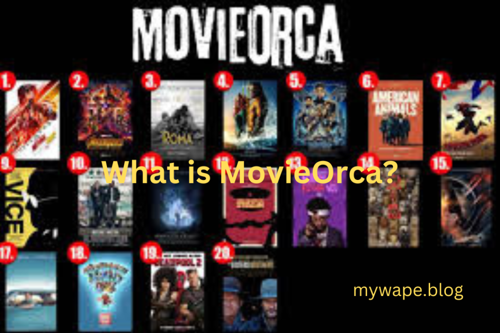 What is MovieOrca?